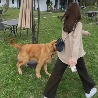 隔壁有只桃花妖2021海报